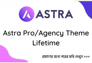 3081I will install Astra Pro (or Astra Pro Agency Bundle) for Lifetime