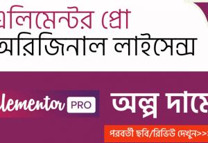8811I will install Elementor Pro Plugin for 1 year with Elementor Library Access (নিজের ক্রয় করা)