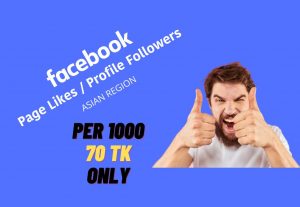 295171000+ Asian Facebook profile followers