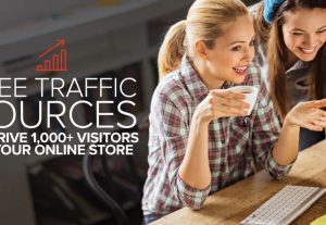 31894Free Traffic Sources to Drive 1,000+ visitors to your online store (daily)