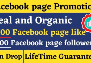 384765000 Facebook page like and 5000 Facebook page Followers Non lifetime guaranteed