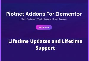 50104I will install piotnet addons pro with lifetime update license on your website