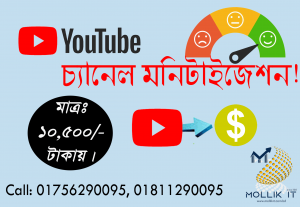 47584YouTube Chanel Monetization Services