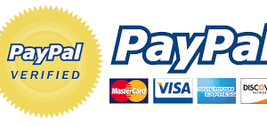 50491Fully Verified Business PayPal USA