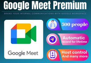 48699Google meet premium (1 month)