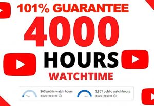 533304000 Hour YouTube Watchtime  (100% NON DROP)