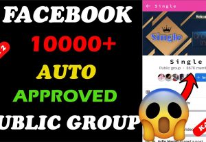 56022Facebook Auto Approval Group