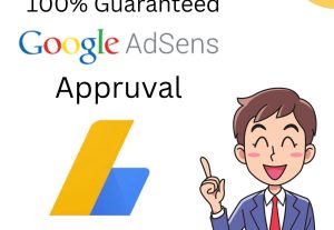 64566I will get approve your website in google adsense guarantee