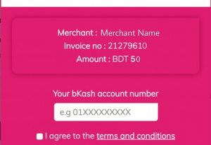 72531bKash Payment Getaway API + Setup on website live