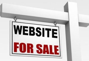 73171website for sale without Adsense