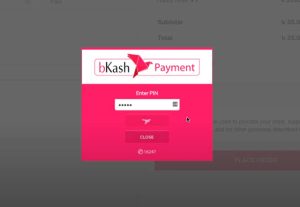 113946I will Setup bKash Payment gateway in your WordPress website.