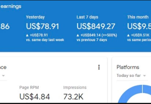 108241Adsense $10 completed service