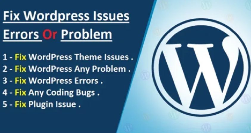 120079Expert WordPress Website Issue Resolution
