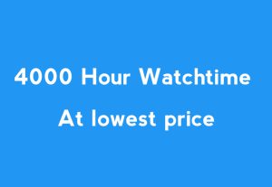 125329I will give you organic 4000 hour YouTube watchtime