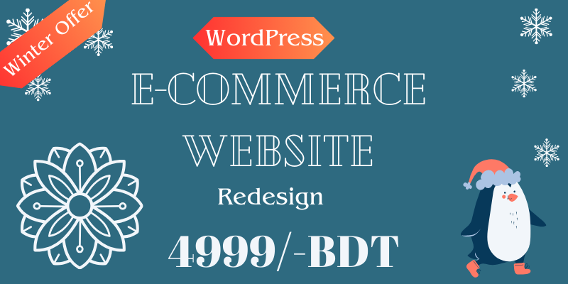 131520WordPress E-commerce Website Development