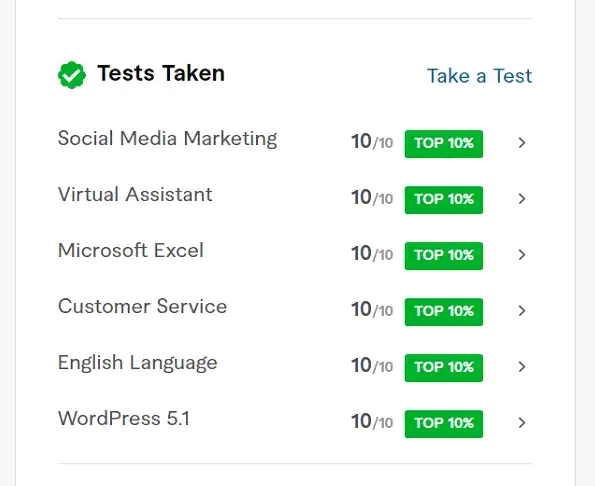 139046Fiverr Skill Test Service Available
