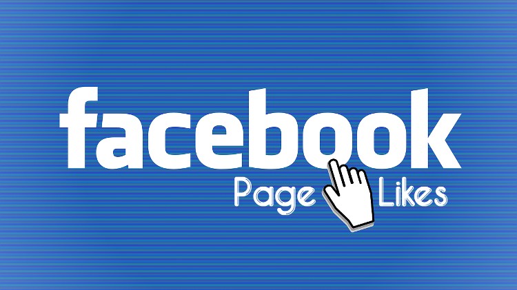 145795BD 100 Real Facebook Page Likes and Followers