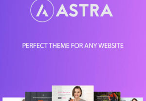 159264Astra Pro WordPress 
 theme fit for any website in very cheap Price