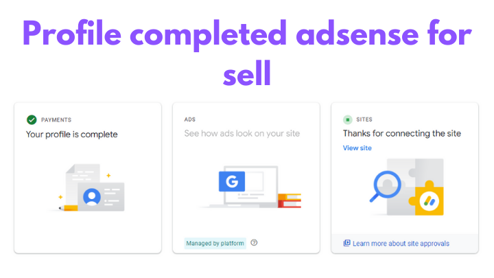 164175Profile completed adsense sell.